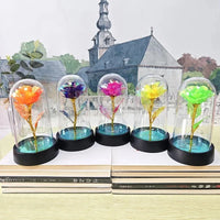 Artificial Rose Flowers Valentines Day Gift for Girlfriend Eternal Rose LED Light Foil Flower Wedding Decor Christmas Gifts  Ho HoVerra